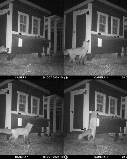 Medium Chicken Coop - Up to 10 Chickens