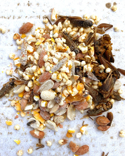 Henergy Textured Treat: Makes Cooped Chickens Happy!