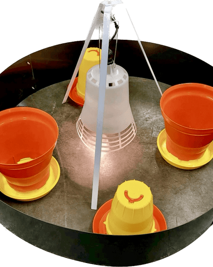 SureGrow™ 100 Chick Brooder - Infrared Electric Brooder