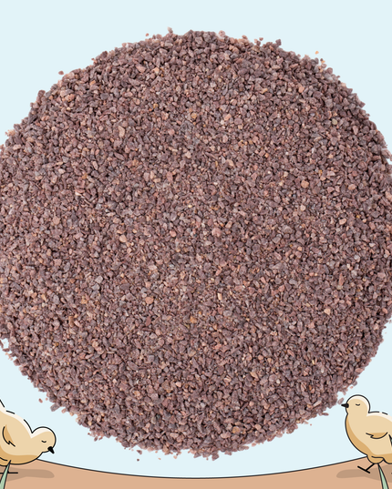 Starter Feed Kit | 8 Weeks of Organic Feed & Grit for 6 Chicks