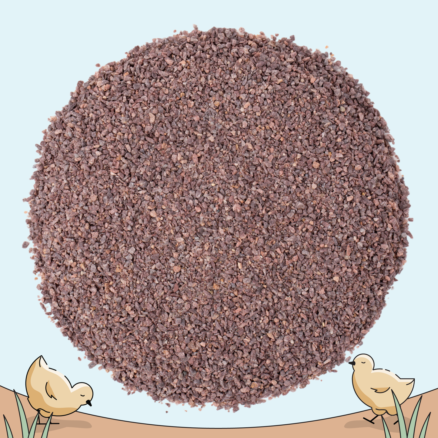 Starter Feed Kit | 8 Weeks of Organic Feed & Grit for 6 Chicks