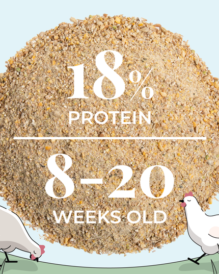 Grower Feed Kit | 12 Weeks of Organic Feed & Grit for 6 Pullets