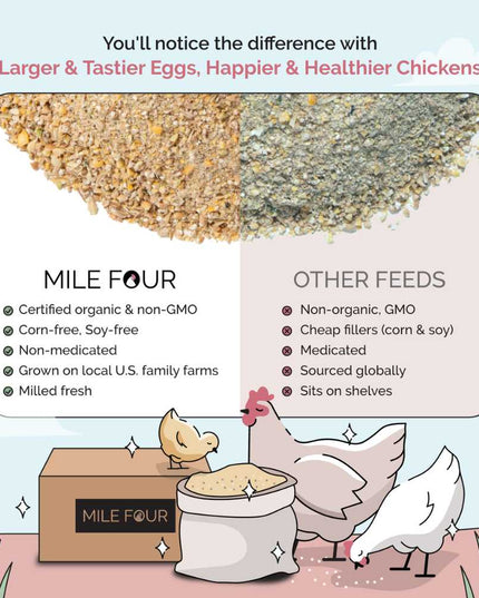Layer Organic Chicken Feed