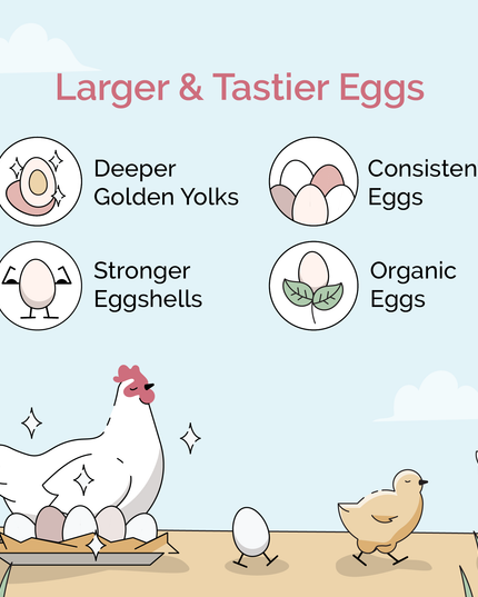 Starter Feed Kit | 8 Weeks of Organic Feed & Grit for 6 Chicks