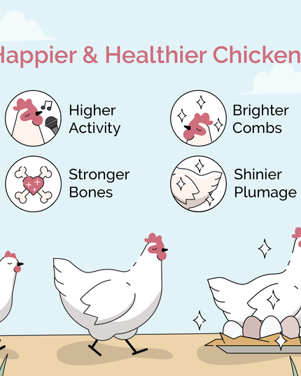 Starter Feed Kit | 8 Weeks of Organic Feed & Grit for 6 Chicks