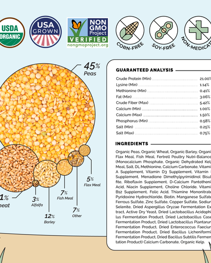 Starter Feed Kit | 8 Weeks of Organic Feed & Grit for 6 Chicks