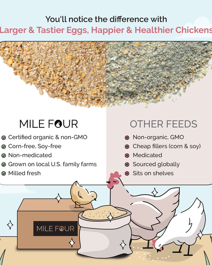 Starter Feed Kit | 8 Weeks of Organic Feed & Grit for 6 Chicks