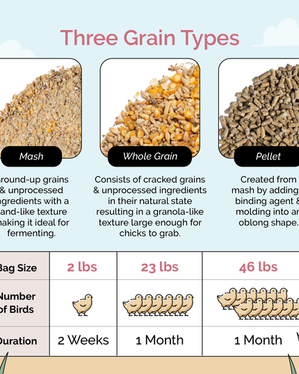 Starter Feed Kit | 8 Weeks of Organic Feed & Grit for 6 Chicks