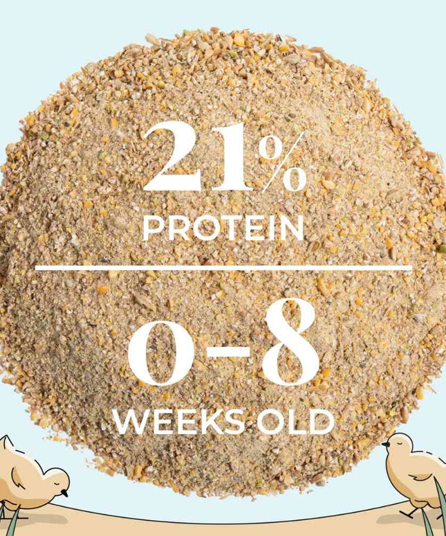 Starter Organic Chicken Feed