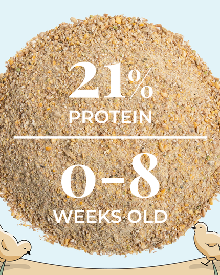 Starter Feed Kit | 8 Weeks of Organic Feed & Grit for 6 Chicks