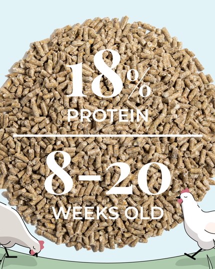 Grower Feed Kit | 12 Weeks of Organic Feed & Grit for 6 Pullets