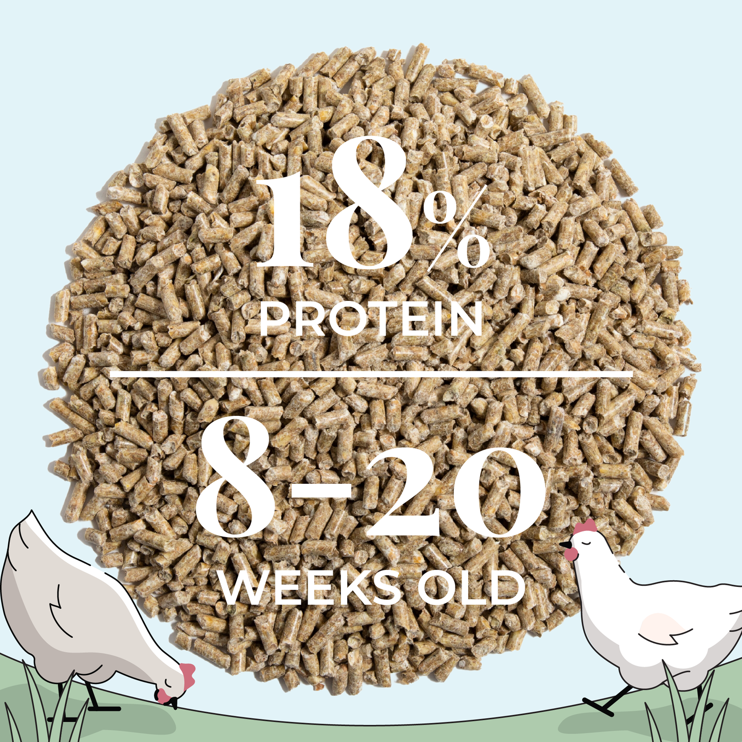 Grower Feed Kit | 12 Weeks of Organic Feed & Grit for 6 Pullets