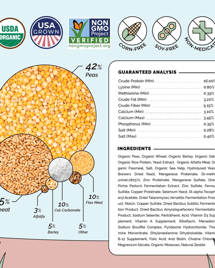Layer Organic Chicken Feed