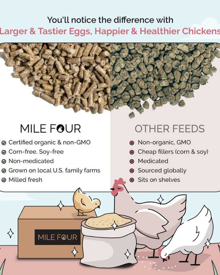 Layer Organic Chicken Feed