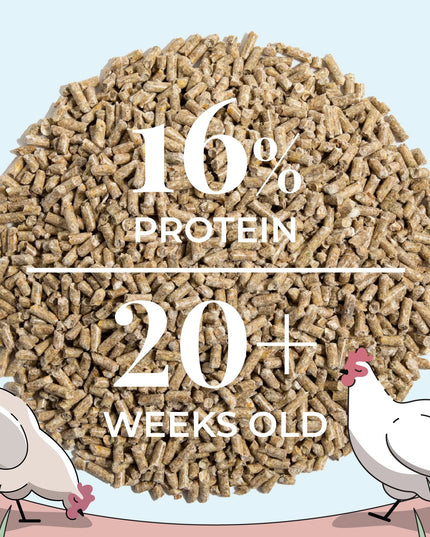 Big Flock Bundle | 2 Months of Organic Feed, Grit & Oyster Shell for 20 Layer Hens