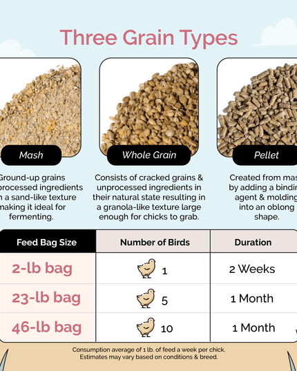 Starter Organic Chicken Feed