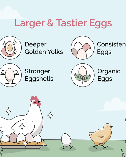 Grower Feed Kit | 12 Weeks of Organic Feed & Grit for 6 Pullets