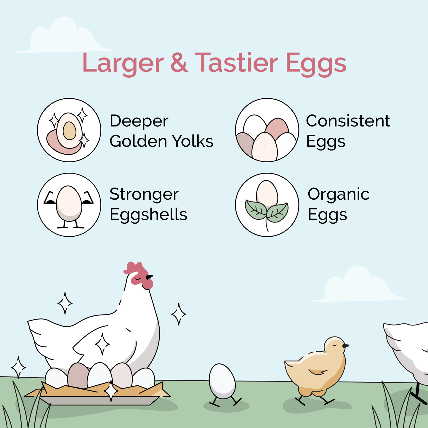 Grower Feed Kit | 12 Weeks of Organic Feed & Grit for 6 Pullets