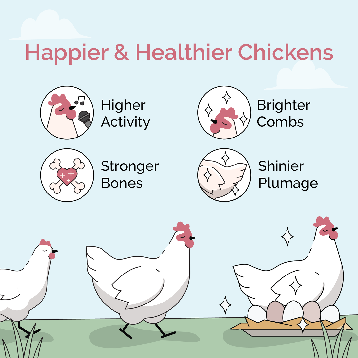 Grower Feed Kit | 12 Weeks of Organic Feed & Grit for 6 Pullets