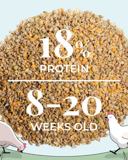 Grower Organic Chicken Feed