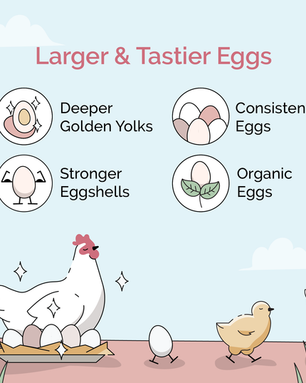 Layer Feed Kit | 1 Month of Organic Feed, Grit & Oyster Shell for 6 Layers