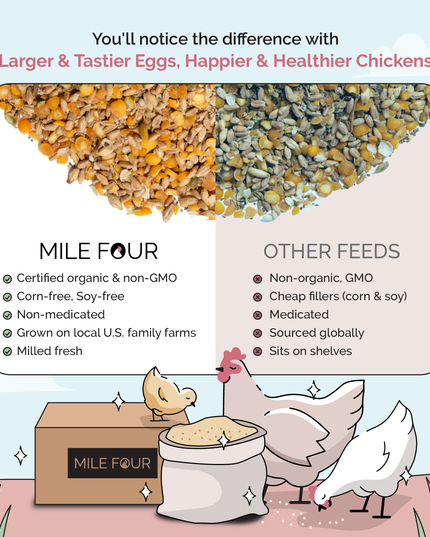 Layer Feed Kit | 1 Month of Organic Feed, Grit & Oyster Shell for 6 Layers