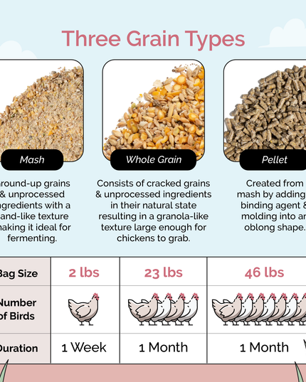 Layer Feed Kit | 1 Month of Organic Feed, Grit & Oyster Shell for 6 Layers