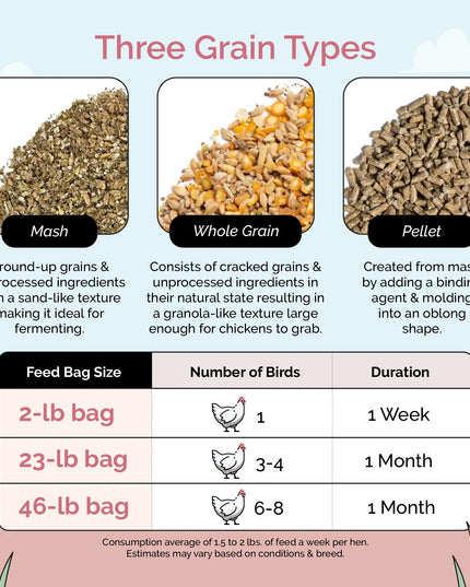 Big Flock Bundle | 2 Months of Organic Feed, Grit & Oyster Shell for 20 Layer Hens