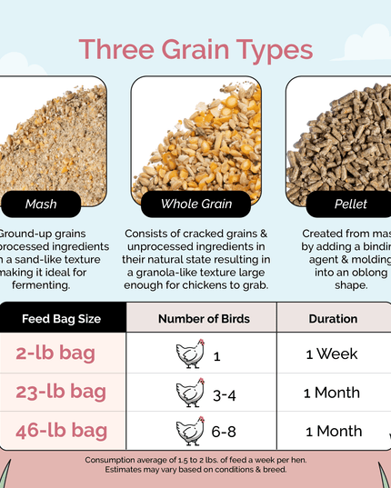 Layer Organic Chicken Feed