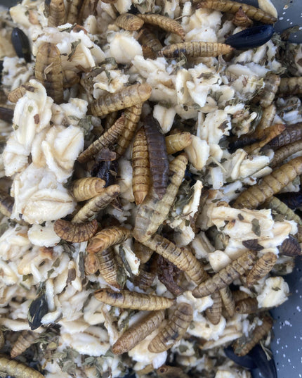 Cold Winter Nights - Warm Oatmeal Treat for Extra Calories