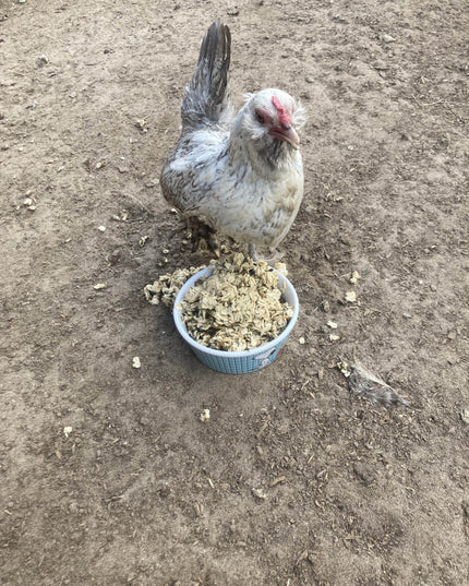 Cold Winter Nights - Warm Oatmeal Treat for Extra Calories