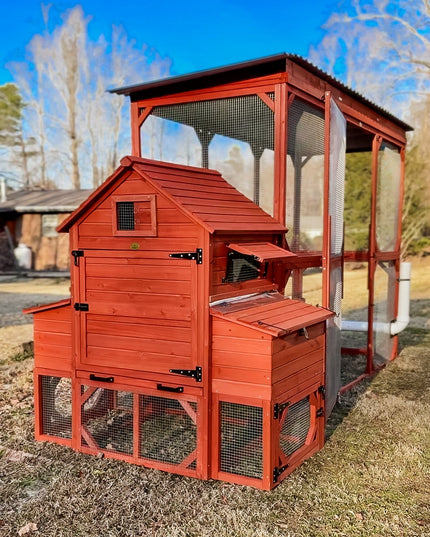 Chicken Coop for 6 Chickens – Orpington Lodge