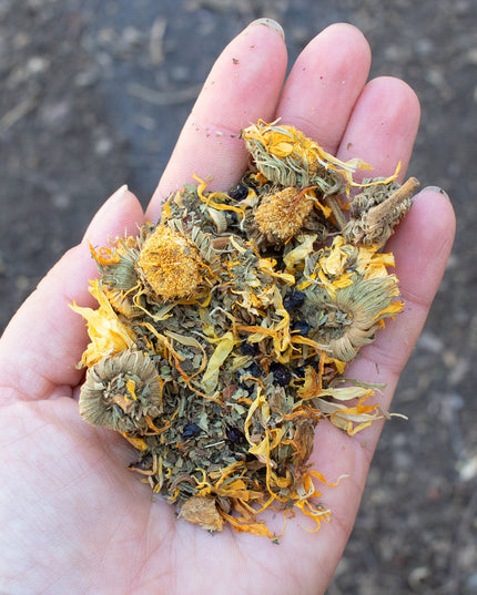 StrongHen Herbs For Backyard Chickens, Coops, & Nesting Boxes