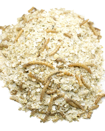 Luv U Much Mealworm & BloomGrubs Treat: Just Mix With Water For A Fun Treat!