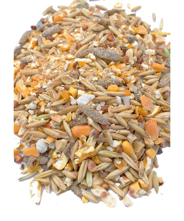 16% Premium Layer Feed With Black Soldier Fly Larvae, Fishmeal, & Herbs {Soy Free + High Protein}