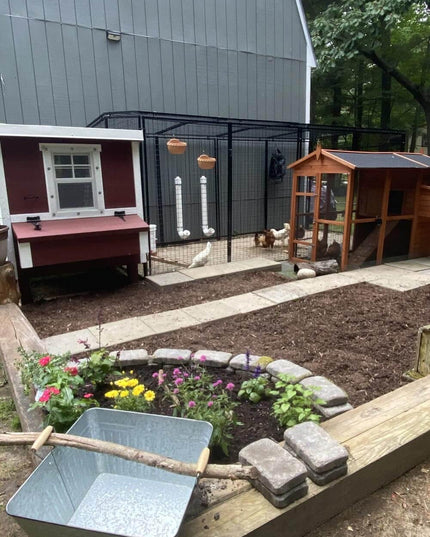 Medium Chicken Coop - Up to 10 Chickens