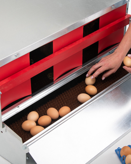 Medium (34") Reversible Roll-out Nest Box (Up to 32 Hens)