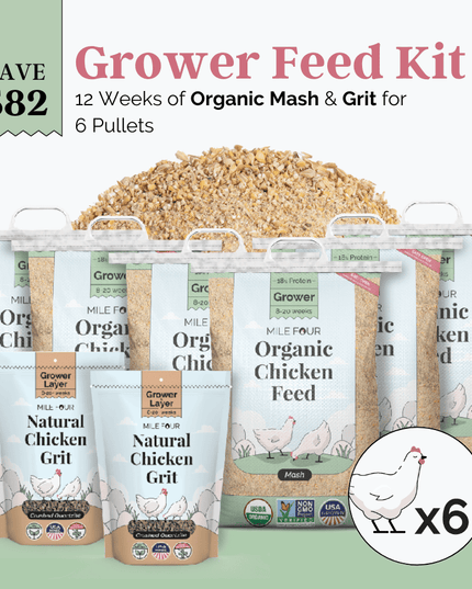 Grower Feed Kit | 12 Weeks of Organic Feed & Grit for 6 Pullets