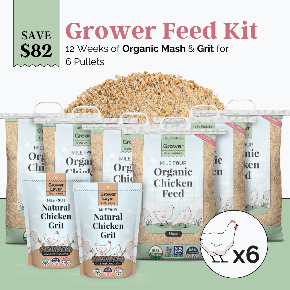 Grower Feed Kit | 12 Weeks of Organic Feed & Grit for 6 Pullets