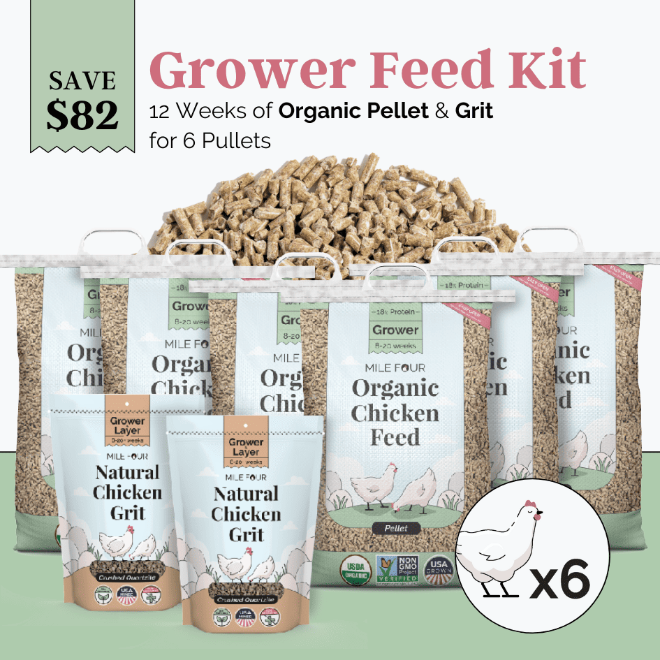 Grower Feed Kit | 12 Weeks of Organic Feed & Grit for 6 Pullets