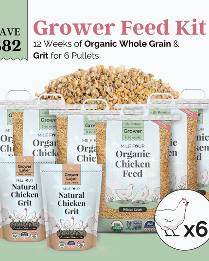Grower Feed Kit | 12 Weeks of Organic Feed & Grit for 6 Pullets