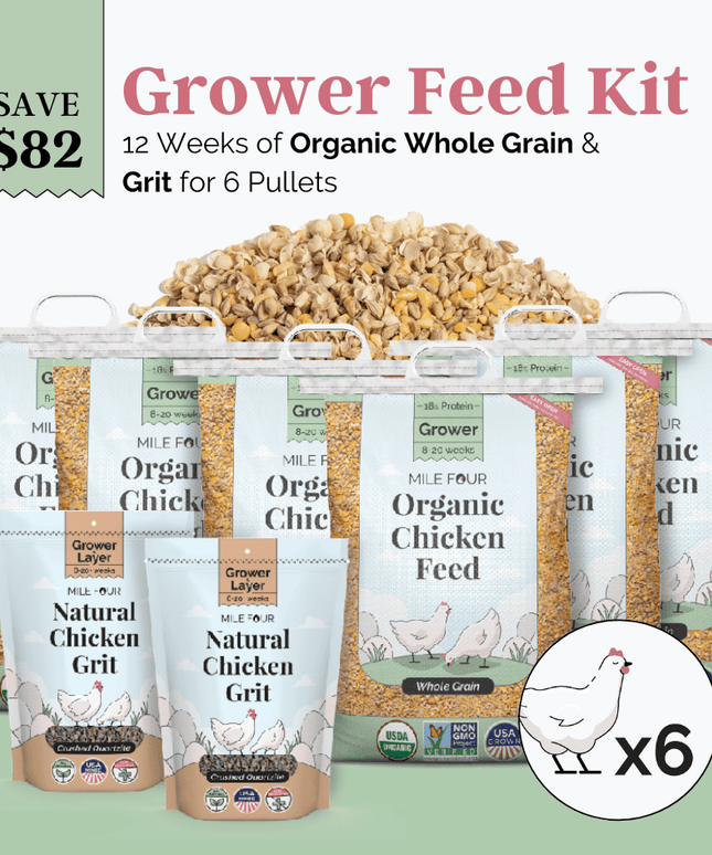Grower Feed Kit | 12 Weeks of Organic Feed & Grit for 6 Pullets