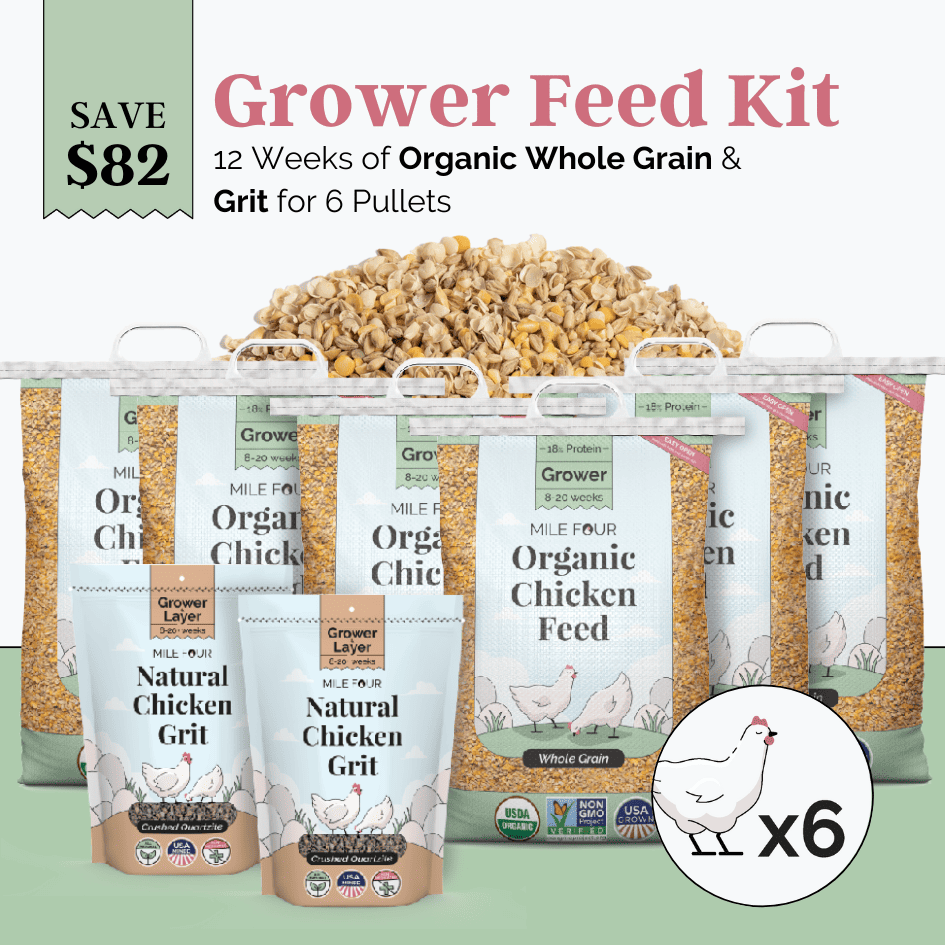 Grower Feed Kit | 12 Weeks of Organic Feed & Grit for 6 Pullets
