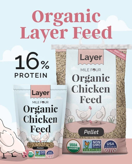 Layer Organic Chicken Feed