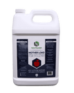 1 Gallon