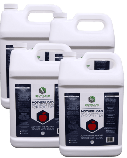 Mother Load | Apple Cider Vinegar for Chickens