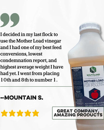 Mother Load | Apple Cider Vinegar for Chickens