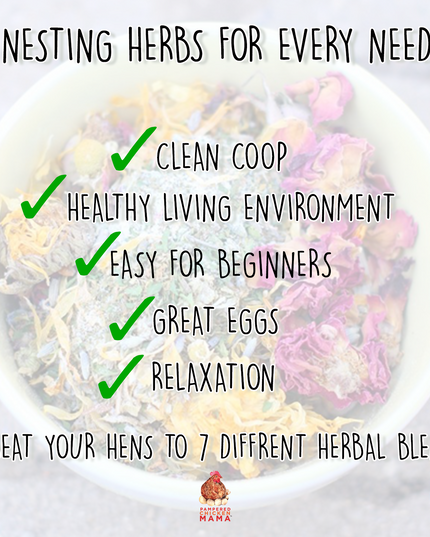 Nesting Herb Starter Bundle-- 7 Different Nesting & Coop Herbs