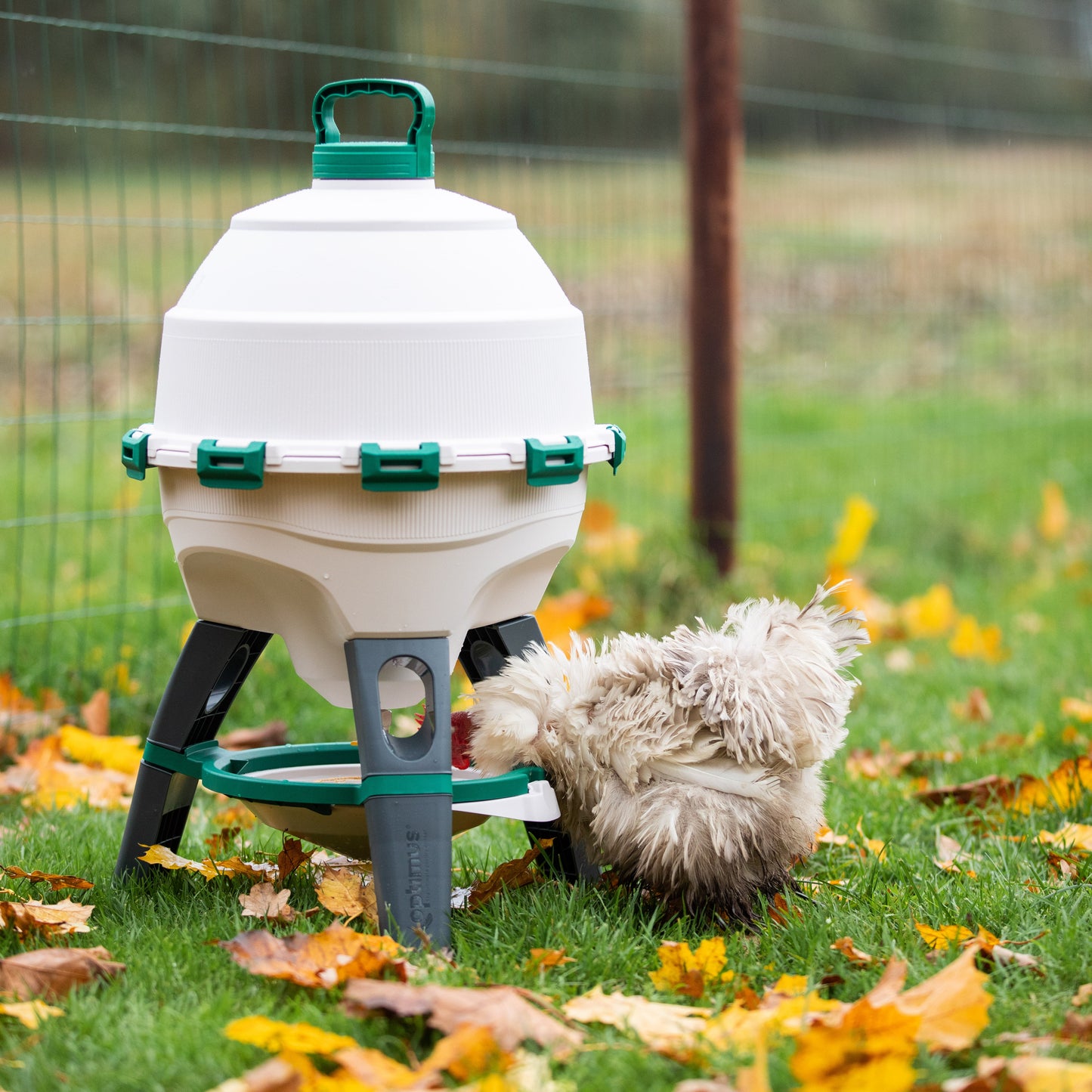 Optimus Poultry Drinker - 6 Gallon