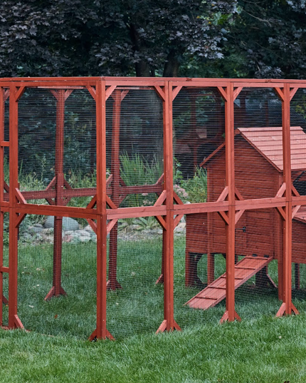 Chicken Coop for 6 Chickens – Orpington Lodge